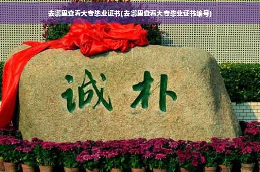 去哪里查看大专毕业证书(去哪里查看大专毕业证书编号)