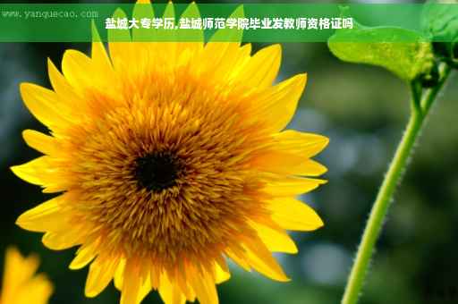 盐城大专学历,盐城师范学院毕业发教师资格证吗