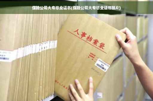 保险公司大专毕业证书(保险公司大专毕业证书图片)