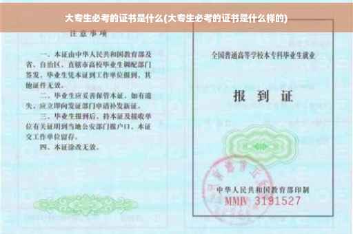大专生必考的证书是什么(大专生必考的证书是什么样的)