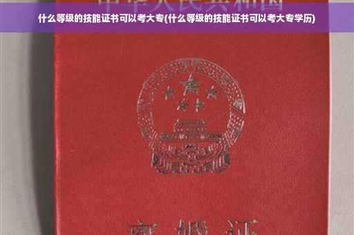 什么等级的技能证书可以考大专(什么等级的技能证书可以考大专学历)