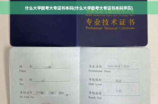 什么大学能考大专证书本科(什么大学能考大专证书本科学历)