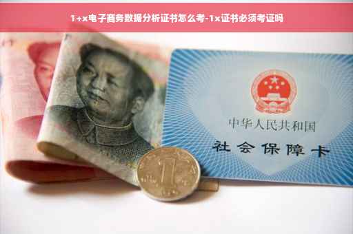 1+x电子商务数据分析证书怎么考-1x证书必须考证吗