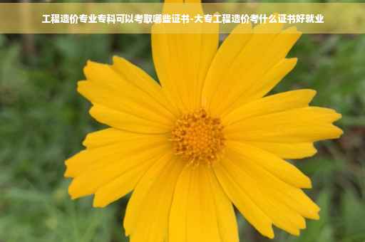 工程造价专业专科可以考取哪些证书-大专工程造价考什么证书好就业