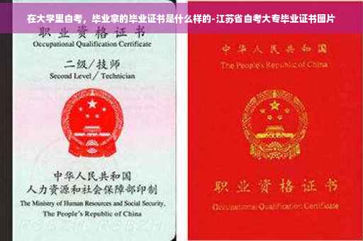在大学里自考，毕业拿的毕业证书是什么样的-江苏省自考大专毕业证书图片