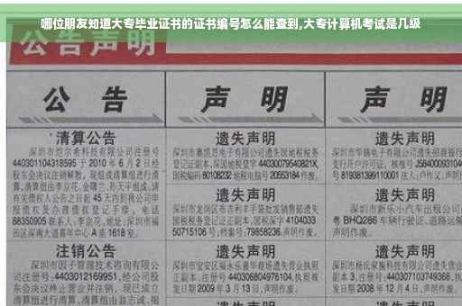 哪位朋友知道大专毕业证书的证书编号怎么能查到,大专计算机考试是几级
