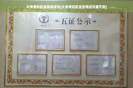 大专考的职业资格证书(大专考的职业资格证书查不到)