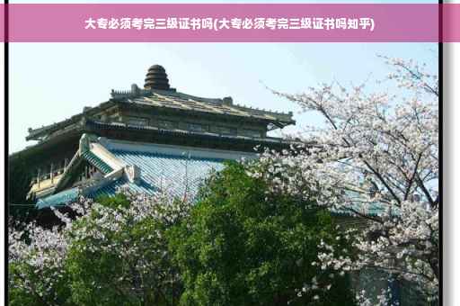 大专必须考完三级证书吗(大专必须考完三级证书吗知乎)