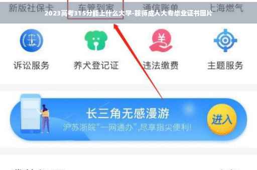 2023高考315分能上什么大学-鞍师成人大专毕业证书图片