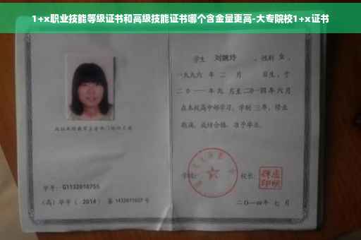1+x职业技能等级证书和高级技能证书哪个含金量更高-大专院校1+x证书