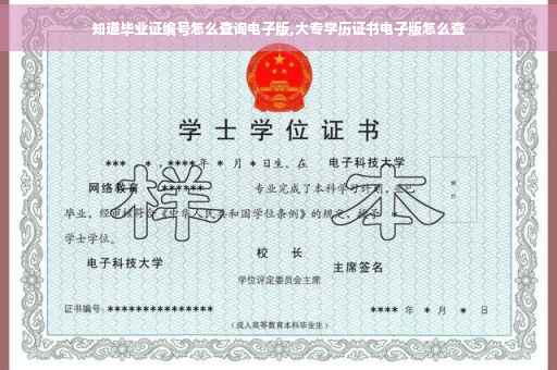 知道毕业证编号怎么查询电子版,大专学历证书电子版怎么查