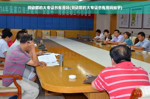 劳动部的大专证书有用吗(劳动部的大专证书有用吗知乎)