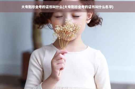 大专刚毕业考的证书叫什么(大专刚毕业考的证书叫什么名字)