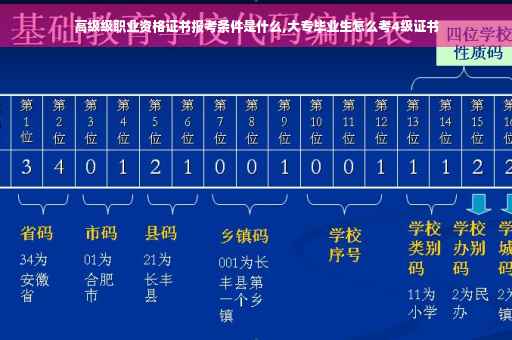 高级级职业资格证书报考条件是什么,大专毕业生怎么考4级证书