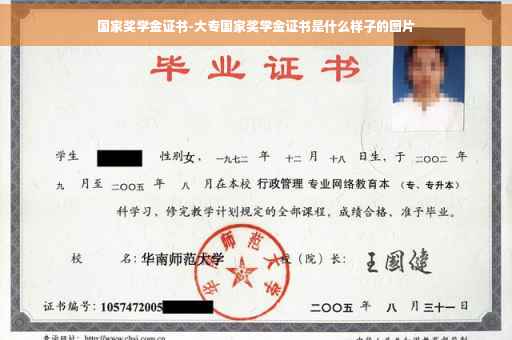 国家奖学金证书-大专国家奖学金证书是什么样子的图片