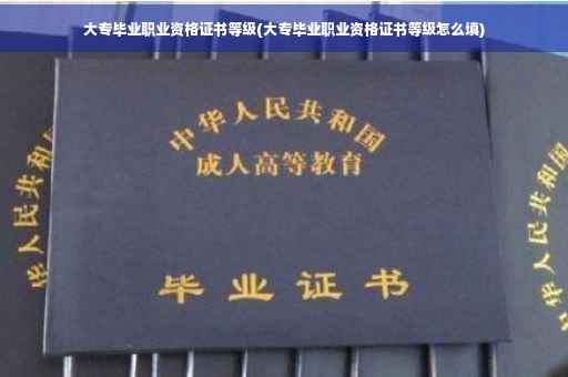 大专毕业职业资格证书等级(大专毕业职业资格证书等级怎么填)