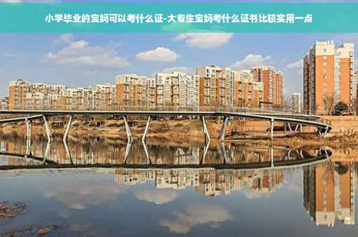小学毕业的宝妈可以考什么证-大专生宝妈考什么证书比较实用一点