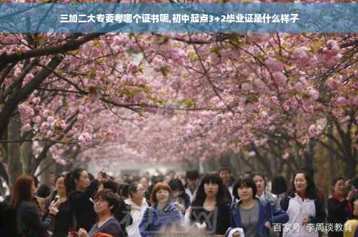 三加二大专要考哪个证书呢,初中起点3+2毕业证是什么样子