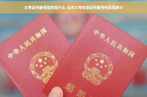 大专证书编号指的是什么-北京大专毕业证书编号代码是多少