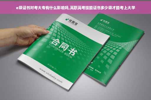 e级证书对考大专有什么影响吗,高职高考技能证书多少级才能考上大学