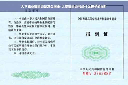 大学毕业报到证是怎么回事-大专报到证书是什么样子的图片