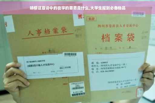 咏柳这首诗中的妆字的意思是什么,大学生报到必备物品