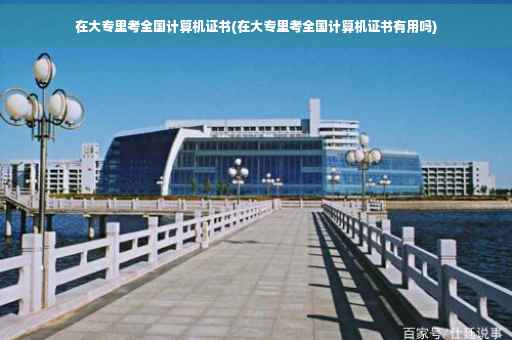在大专里考全国计算机证书(在大专里考全国计算机证书有用吗)