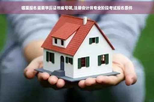 哪里报名需要学历证书编号呢,注册会计师专业阶段考试报名条件