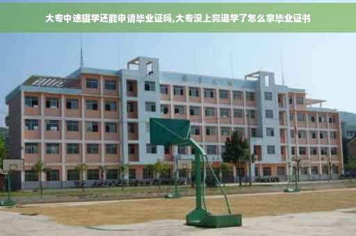 大专中途辍学还能申请毕业证吗,大专没上完退学了怎么拿毕业证书