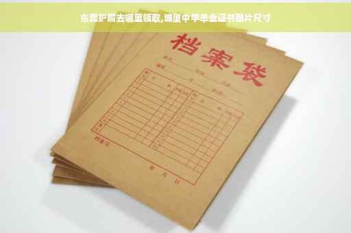 东莞护照去哪里领取,塘厦中学毕业证书图片尺寸