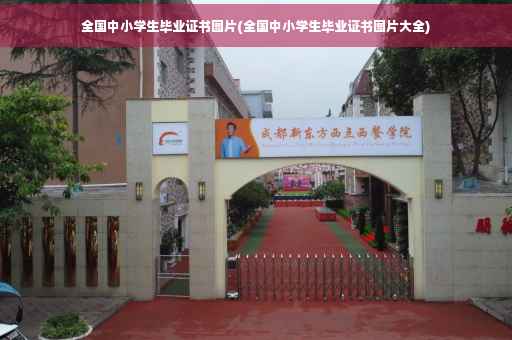 全国中小学生毕业证书图片(全国中小学生毕业证书图片大全)