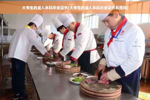 大专生的成人本科毕业证书(大专生的成人本科毕业证书有用吗)