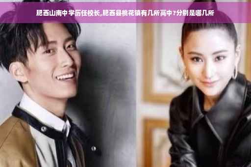 肥西山南中学历任校长,肥西县桃花镇有几所高中?分别是哪几所