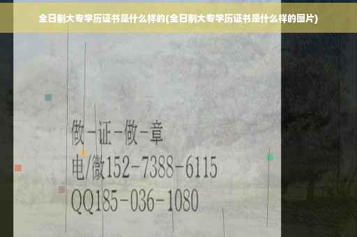 全日制大专学历证书是什么样的(全日制大专学历证书是什么样的图片)