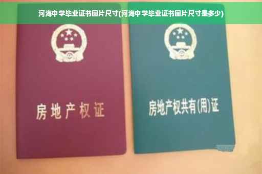 河海中学毕业证书图片尺寸(河海中学毕业证书图片尺寸是多少)