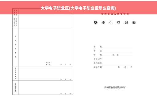 大学电子毕业证(大学电子毕业证怎么查询)