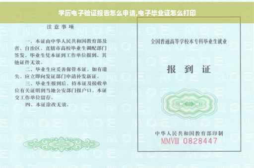 学历电子验证报告怎么申请,电子毕业证怎么打印