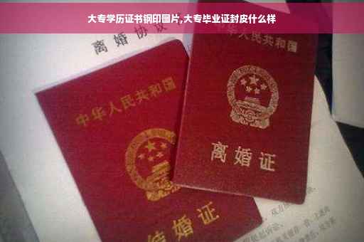 大专学历证书钢印图片,大专毕业证封皮什么样