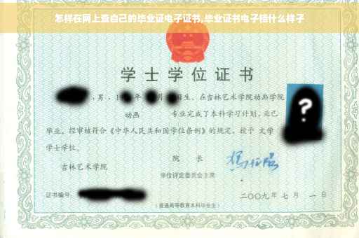 怎样在网上查自己的毕业证电子证书,毕业证书电子档什么样子