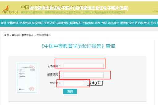 如何查询毕业证电子照片(如何查询毕业证电子照片信息)