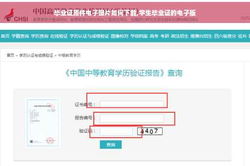 毕业证原件电子图片如何下载,学生毕业证的电子版