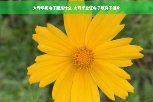 大专学历电子版是什么-大专毕业证电子版样子图片
