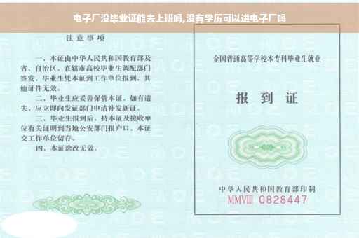 电子厂没毕业证能去上班吗,没有学历可以进电子厂吗