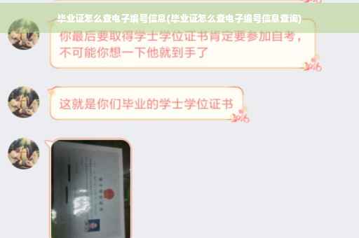毕业证怎么查电子编号信息(毕业证怎么查电子编号信息查询)