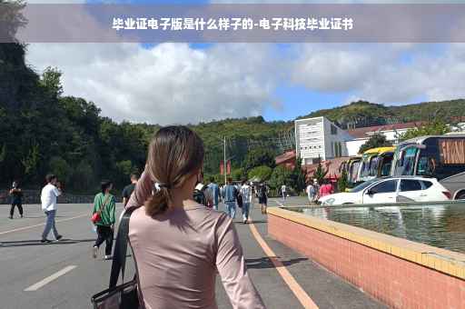 毕业证电子版是什么样子的-电子科技毕业证书