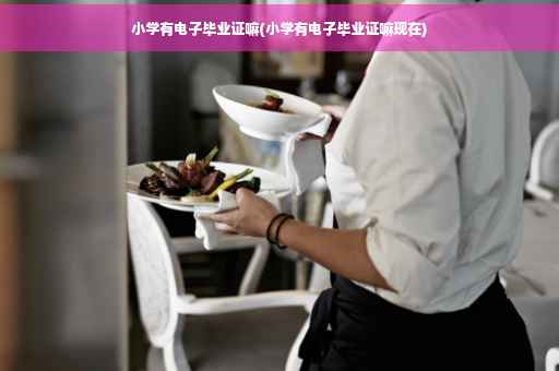 小学有电子毕业证嘛(小学有电子毕业证嘛现在)
