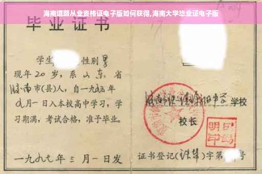 海南道路从业资格证电子版如何获得,海南大学毕业证电子版