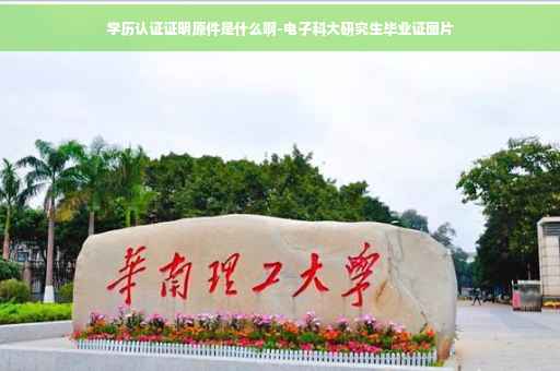 学历认证证明原件是什么啊-电子科大研究生毕业证图片