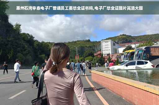 惠州石湾申泰电子厂普通员工要毕业证书吗,电子厂毕业证图片高清大图
