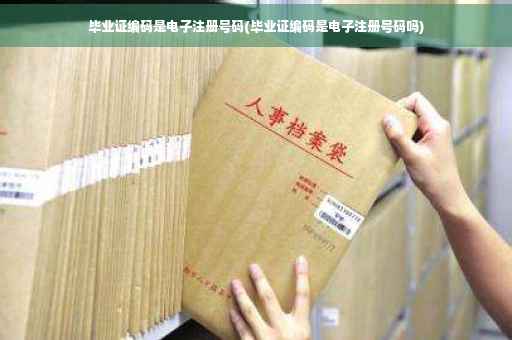 毕业证编码是电子注册号码(毕业证编码是电子注册号码吗)
